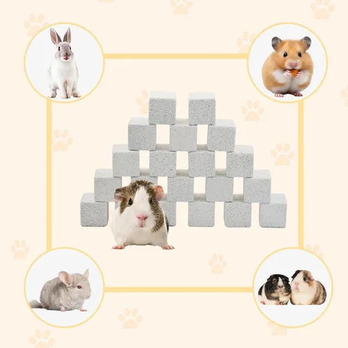 Miniatura 4 de PINVNBY 20 bloques de lava para conejos, bloque de lava de chinchillas, hámster, piedra mineral, animales pequeños, piedras cuadradas de calcio