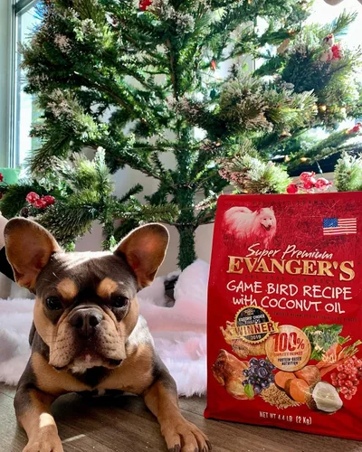 Miniatura 7 de Evanger's Super Gamebird Receta con aceite de coco alimento seco para perros – Bolsa de 4.4 libras – Fórmula hipoalergénica de pato y pavo – Sin