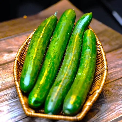 Miniatura 2 de TomorrowSeeds - Semillas de pepino japonesas largas sin eructos - Más de 50 unidades - para plantar Kyuri 2026 Verde oscuro Premium Cerca de pepinos