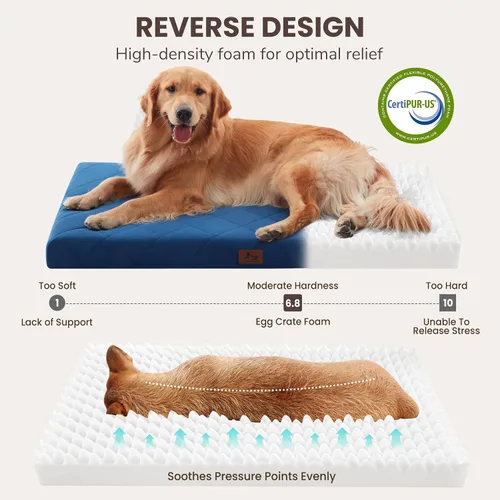 Miniatura 2 de Tapete ortopédico XL para perros extra grandes, cama impermeable para perros con funda extraíble, cama lavable para mascotas, 41 x 28 pulgadas,