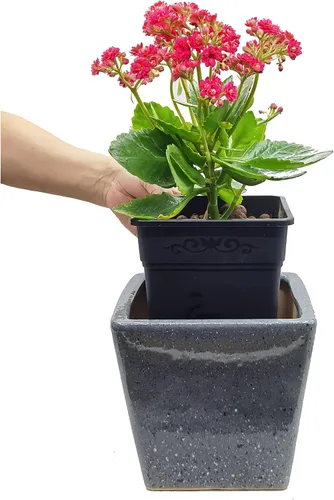 Miniatura 5 de Macetas cuadradas de plástico de 0.5 galones para plantas de interior y exterior, paquete de 10 con agujeros de drenaje, macetas de vivero de 5