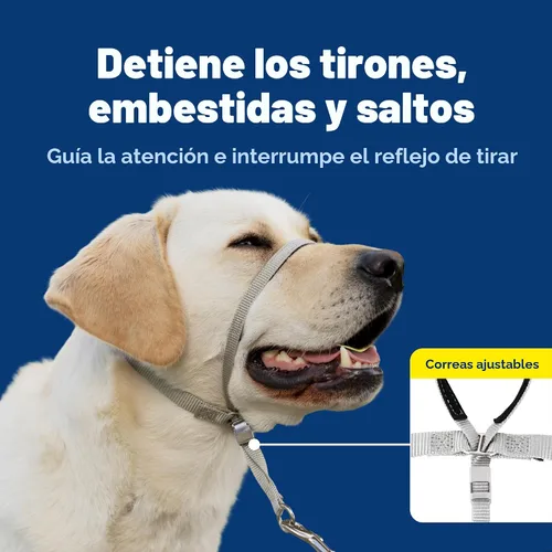 Miniatura 3 de Collar suave de conducción con DVD de entrenamiento PetSafe, Azul Royal Azul real