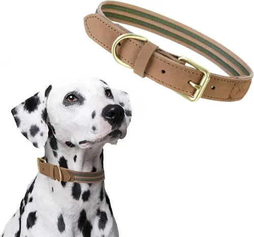 Miniatura 14 de Mile High Life Collares para perros, collares de algodón suave con hebilla de metal pesado, collar clásico para cachorros con puntas de cuero