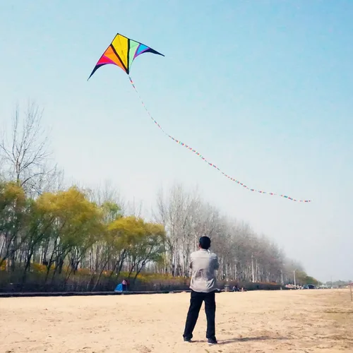Miniatura 7 de besra 110 inch arco iris Delta Cometa con Windsock & 10 m larga cola para niños y adultos divertido Deportes al aire última intervensión para playa