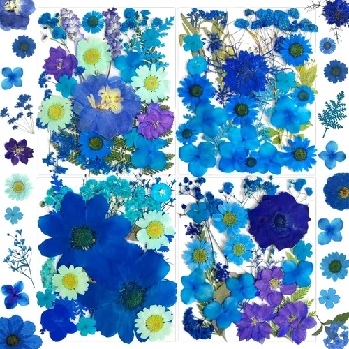 Miniatura 13 de MIKIYA 90 piezas de flores secas prensadas negras para moldes de resina, hojas florales secas a granel naturales reales para manualidades de arte