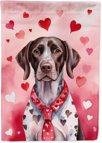 Miniatura 13 de Caroline's Treasures DAC5292CHF - Bandera de Border Collie My Valentine House para porche, grande, con manga para porche, para colgar en la pared
