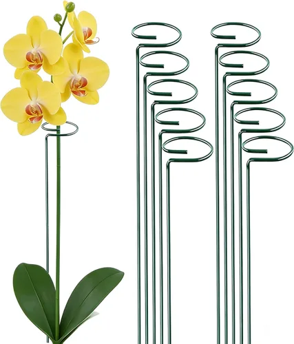 Miniatura 7 de 20 piezas de 16 pulgadas verdes de un solo tallo para plantas de jardín, anillos de soporte de flores, accesorios para amarilis, orquídeas, lirios