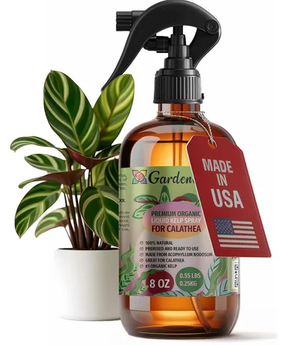 Miniatura 38 de GARDENERA Spray orgánico profesional de algas marinas para plantas AGLAONEMA – 8 oz – Rocío fertilizante de algas marinas y algas marinas totalmente