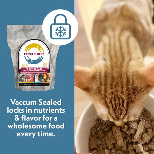 Miniatura 7 de Fresh Is Best Alimento liofilizado de carne de res para gatos, alimento crudo para gatos y felinos adultos, carne de res liofilizada con alto