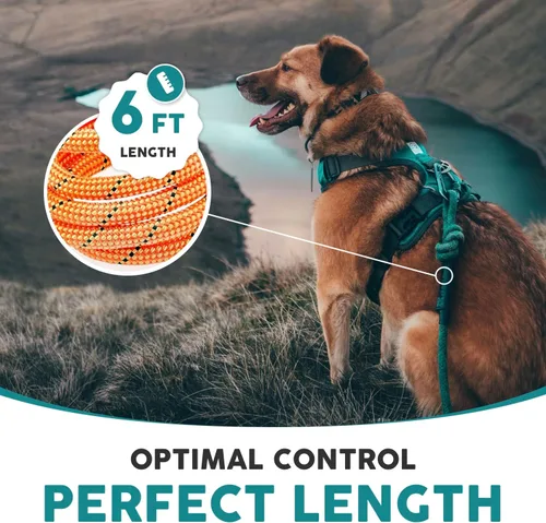 Miniatura 6 de Embark Urban - Arnés para perro con correa Sierra con clips para correa, 6 pies de longitud de la correa, ajustable, suave y acolchado para mayor
