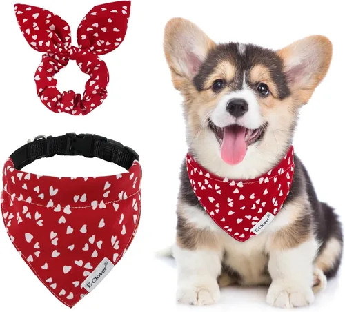 E-Clover Collares de perro para hembras - Collar de perro con corazón y coletero a juego, collares ajustables para perros XS y pequeños, dueño, San