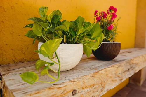 Miniatura 8 de GARDENIX DECOR Macetas colgantes de riego automático de 11 pulgadas para plantas de interior, maceta con indicador de nivel de agua para plantas