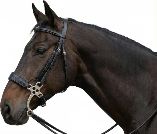Miniatura 4 de CHALLENGER Caballo cuero corto mango acolchado Noseband entrenamiento Hackamore Curb Strap 35H69