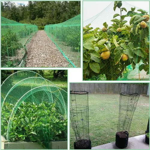 Miniatura 5 de Red para pájaros para jardín, red de jardín de 12 x 48 pies, red de árboles frutales no se enreda y malla reutilizable para pájaros protege las 13 x