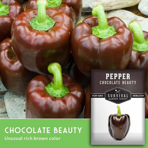 Miniatura 5 de Survival Garden Seeds - Semilla de pimienta Chocolate Beauty para plantar - Paquete con instrucciones para plantar y cultivar hermosos pimientos