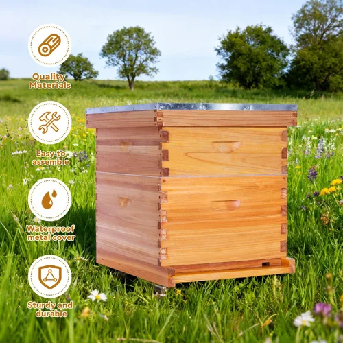 Miniatura 8 de POLLIBEE Colmena de abejas de 10 marcos, kit de colmena recubierta de cera de abeja para el cuidador de abejas, colmena completa incluye 1 caja
