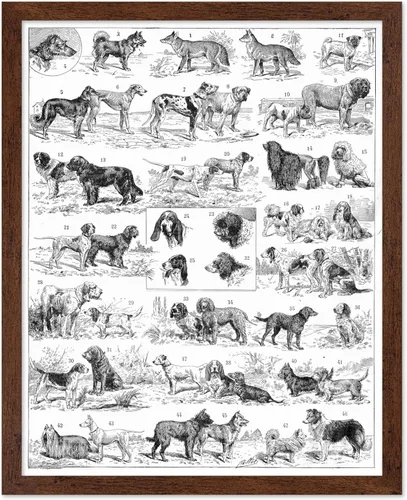 Miniatura 44 de Poster Master Póster vintage de miel, impresión retro de La Vie De L'Abeille, arte de panal de abeja, arte de pared de abeja, regalo para hombres