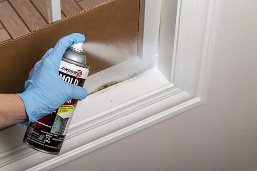 Miniatura 3 de Rust-Oleum Zinsser 287512 - Base en aerosol con bloqueo de moldeo, 13 onzas, color blanco
