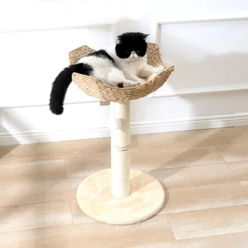 Miniatura 5 de SHENGOCASE Torre pequeña para gatos con cesta grande de mimbre de ratán de 17.7", cesta nido tejida a mano, percha de ventana para gatos grandes