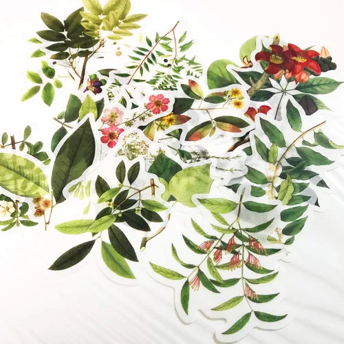 Miniatura 2 de Doraking - Juego de 60 calcomanías decorativas para álbumes de recortes, diseño de plantas verdes para laptop, álbumes de recortes, cuaderno