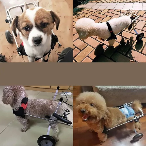 Miniatura 5 de Pet Supplies Lightweight Wheelchair Dog for Back Legs Adjustable Aluminum Alloy Assisted Pet/cat/Dog Walk Tool