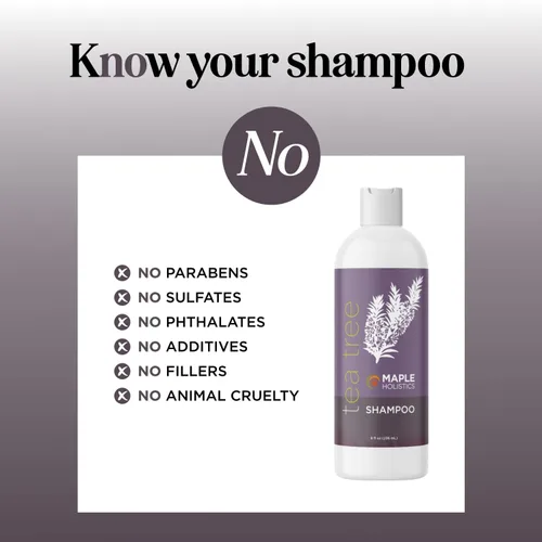 Miniatura 3 de Champú de árbol de té, Puro y Natural para Hombres y Mujeres, Cuidado anticaspa, Apto para cabellos teñidos, Hecho en Estados Unidos por Maple