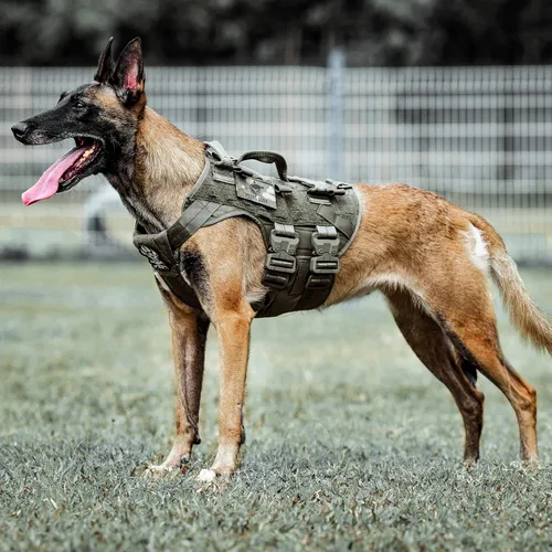Miniatura 7 de PETAC GEAR Arnés Táctico para Perros K9 Chaleco de Entrenamiento para Perros Ajustable Acolchado para Perros de Servicio Policial de Trabajo Negro