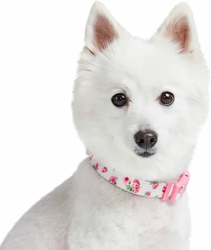 Miniatura 6 de Collar para perros Cherry Garden con delicadas flores