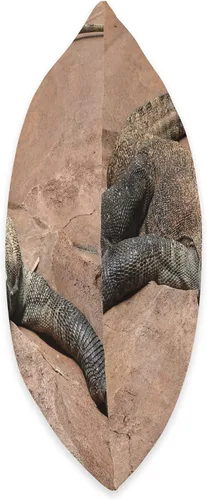 Miniatura 2 de Komodo Dragon Merch Komodo Dragon - Almohada de 16 x 16 pulgadas, multicolor
