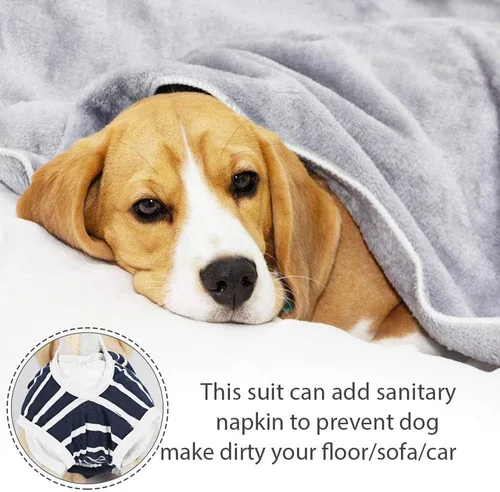 Miniatura 4 de Pañales para perras, traje de período para hembras, bragas sanitarias en celo, pañales para perritos, mameluco para mantener el pañal
