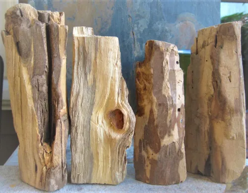 Miniatura 4 de Varillas para difuminar Palo Santo de 1 libra, Palo Santo de alta resina, madera sagrada. Varilla de incienso auténtica cosechada en forma silvestre