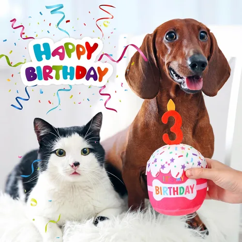 Miniatura 4 de Dansydaisy Accesorios de juguete de pastel de cumpleaños para perros, regalos para niñas y niños, juguete de peluche chirriante para decoración