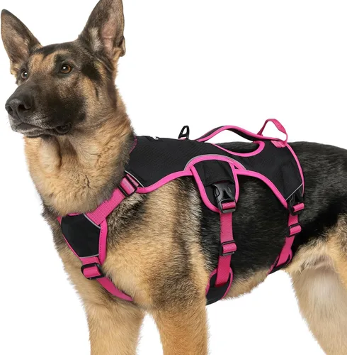 Miniatura 26 de rabbitgoo - Arnés para perro a prueba de fugas, arnés para mascotas acolchado suave de cuerpo completo, chaleco reflectante ajustable sin tirones
