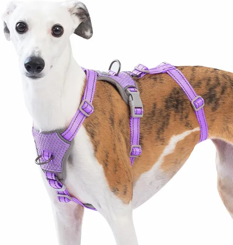 Miniatura 12 de Huntboo Arnés para perro a prueba de escapes, sin tirones, antideslizante, totalmente reflectante, diseño ajustable de 7 puntos para perros