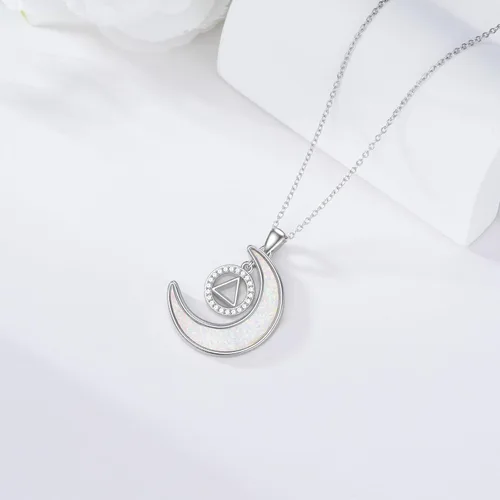 Miniatura 6 de KQF DragonflyHummingbirdHedgehogOwlSobrietyAngel Wings Necklace Sterling Silver Moon Necklace Dragonfly Gifts For Dragonfly Lovers Gifts Wife Mom