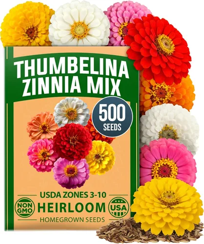 Miniatura 95 de HOME GROWN Mezcla de semillas germinantes de primera calidad, microgreens 118,200 semillas para cultivo en interiores, brócoli, alfalfa, rábano