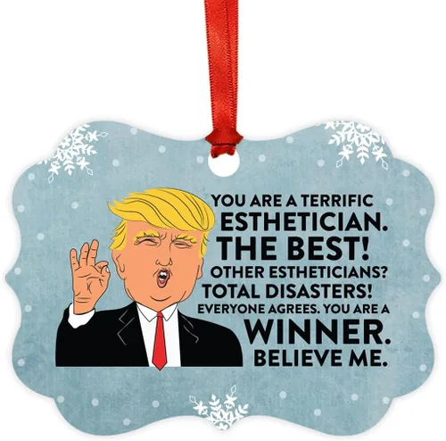 Miniatura 97 de Andaz Press Presidente Donald Trump Fancy Frame Recuerdo Adorno de Navidad Regalo de broma Ejecutivo de Cuenta, 1 paquete, Divertidas Ideas
