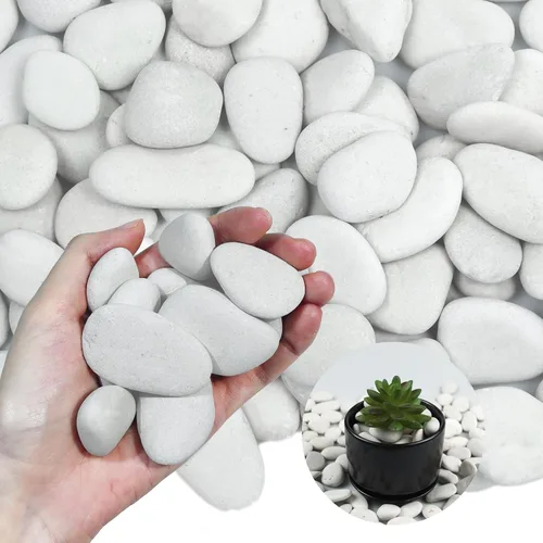 Rocas de río blanco perla de 10 libras para paisajismo, guijarros pulidos para plantas, piedras decorativas de jardín, rocas de plantas de 1-1.5
