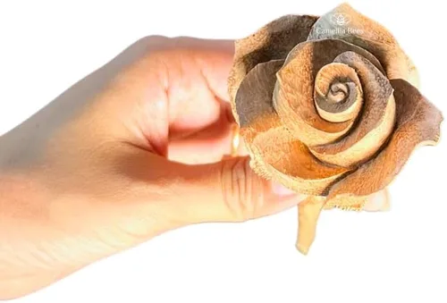 Miniatura 4 de Camellia Bees Rosa de madera, regalo de flores de aniversario de madera para San Valentín, día de la madre, 5º aniversario de boda, regalo de madera