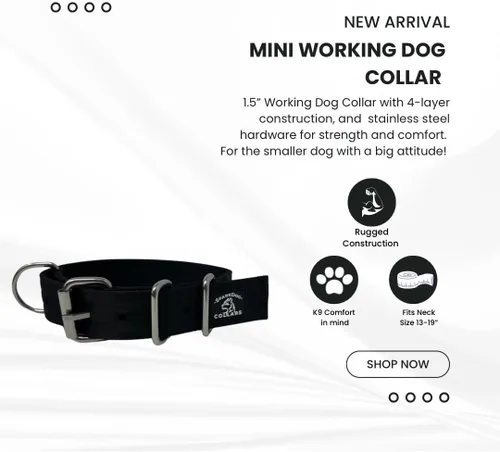 Miniatura 3 de SparkDog - Collar de perro resistente de 1.5 pulgadas, correa ajustable de grado de cinturón de seguridad con herrajes de acero inoxidable