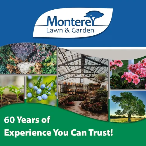 Miniatura 8 de Monterey Houseplant Disease Control RTU, espray orgánico para plantas de interior y exterior, controla enfermedades fúngicas y bacterianas, incluido