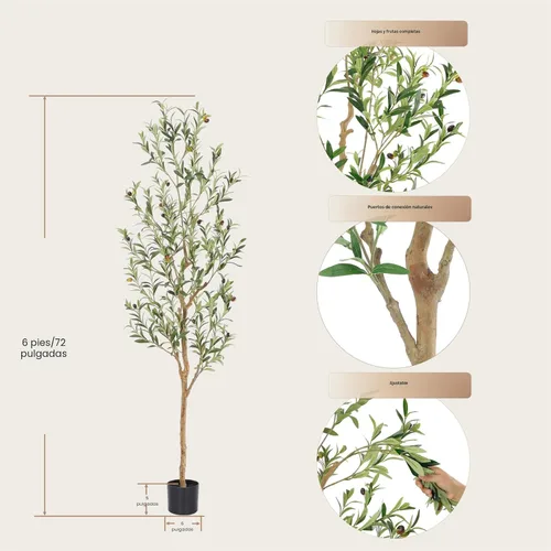 Miniatura 4 de Bellacat Árbol de olivo sintético de 6 pies, olivos artificiales para interiores con tronco de madera natural y hojas y frutas realistas. Olivo
