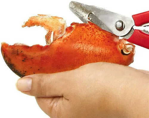 Miniatura 2 de Tijeras de mariscos Tijeras de langosta de acero inoxidable para camarones y cangrejos de langosta, tijeras desmontables para mariscos