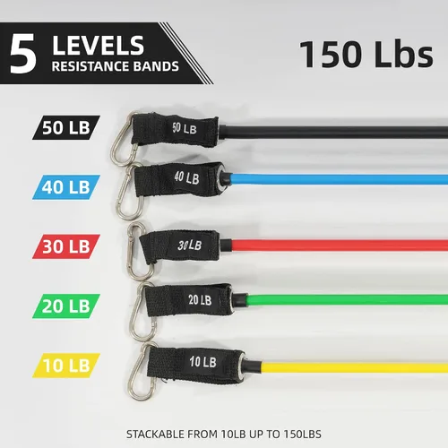 Miniatura 2 de Fitvids Juego de bandas de resistencia – Bandas de ejercicio de 5 niveles para fitness en casa, terapia física y entrenamiento de fuerza