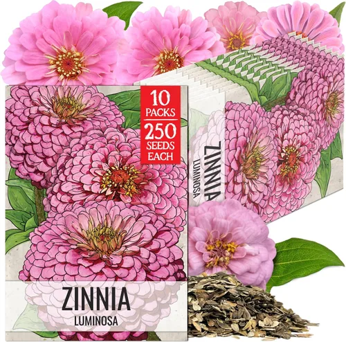 Miniatura 37 de Seed Needs California Giants - Semillas de zinnia – 250 semillas tradicionales para plantar Zinnia elegans – Cultiva flores anuales polinizadas
