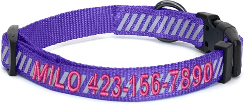 Pawtitas - Collar reflectante para perro - Nombre y número de teléfono personalizados, ajustable para perros pequeños y cachorros - Morado Púrpura