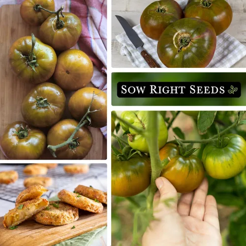 Miniatura 4 de Sow Right Seeds - Semillas de tomate verde Cherokee para plantar - Paquete de reliquia sin OMG con instrucciones para plantar un huerto casero