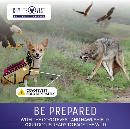 Miniatura 7 de HawkShield - Almohadilla para CoyoteVest o chaleco de espigas, chaleco de arnés protector para perro, complemento para proteger a tu mascota de aves