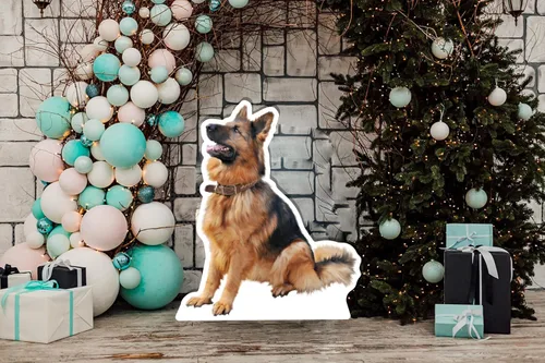 Miniatura 5 de Recortes personalizados de Coroplast para mascotas de tamaño real de cualquier fotografía, recortes personalizados de cuerpo completo para mascotas