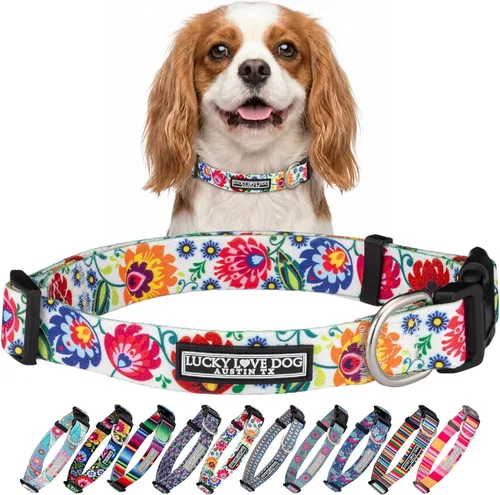 Miniatura 49 de Lucky Love Dog - Collar para perras pequeñas, diseño Blackbird de estampado alegre con flores de primavera y verano, talla XS